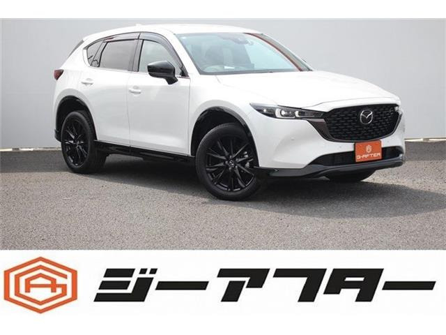 CX-5(マツダ) 2.2 XD レトロスポーツエディション　10.25型ナビTV360&amp;deg;カメラ電動RゲートBSM 中古車画像