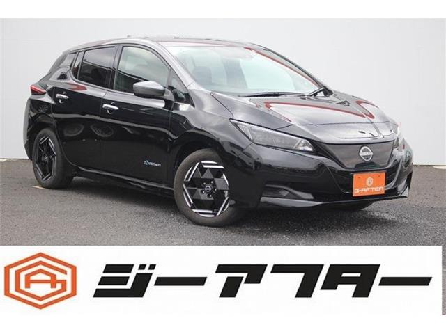 リーフ(日産) X　純正9型ナビBカメラ地デジ後席ヒーターLED 中古車画像