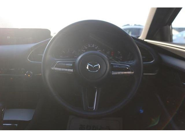 ���Ǝҗl�ւ̔̔��͂��f�肳���Ă��������܂��B�Ԍ������ԗ��̏ꍇ�́A�Ԍ����擾�������x�������z�ŕ\�����Ă���܂��B