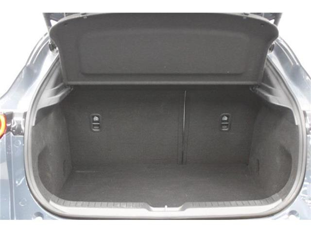 ���Ǝҗl�ւ̔̔��͂��f�肳���Ă��������܂��B �Ԍ������ԗ��̏ꍇ�́A�Ԍ����擾�������x�������z�ŕ\�����Ă���܂��B