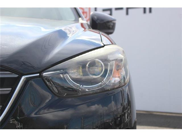 ���Ǝҗl�ւ̔̔��͂��f�肳���Ă��������܂��B �Ԍ������ԗ��̏ꍇ�́A�Ԍ����擾�������x�������z�ŕ\�����Ă���܂��B