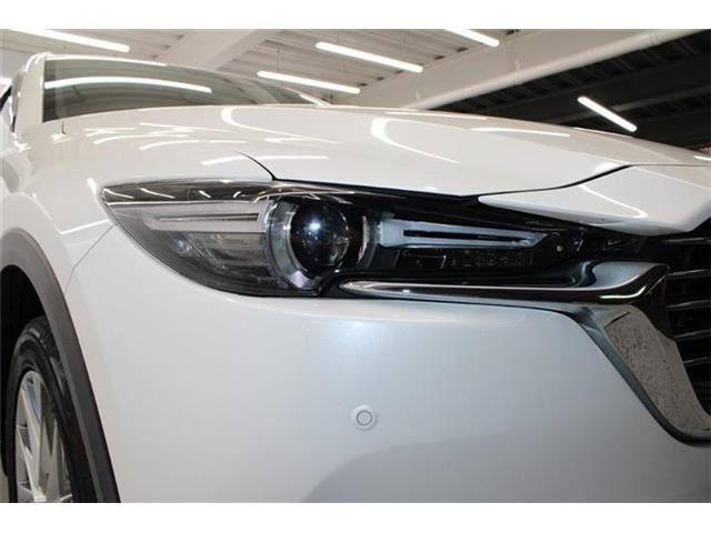 ���Ǝҗl�ւ̔̔��͂��f�肳���Ă��������܂��B �Ԍ������ԗ��̏ꍇ�́A�Ԍ����擾�������x�������z�ŕ\�����Ă���܂��B