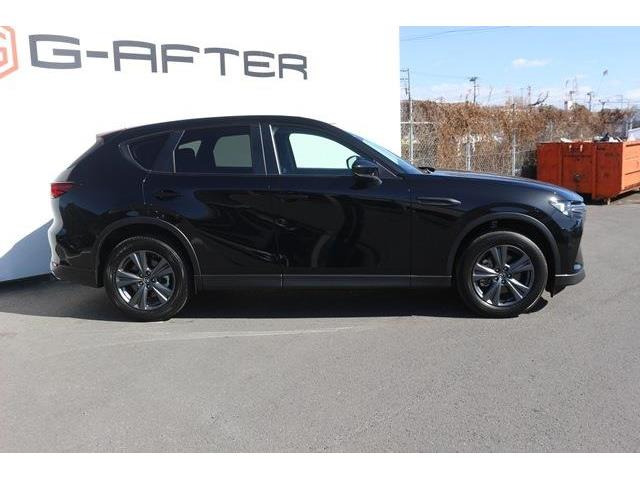 ���Ǝҗl�ւ̔̔��͂��f�肳���Ă��������܂��B �Ԍ������ԗ��̏ꍇ�́A�Ԍ����擾�������x�������z�ŕ\�����Ă���܂��B