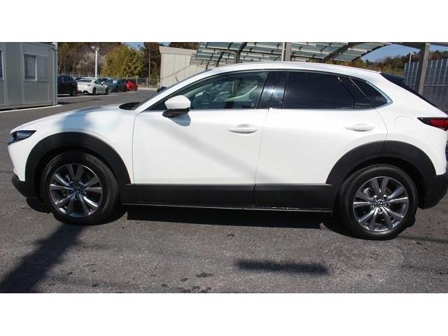 ���Ђ͂��������j�b�Z�C���a���ۑ㗝�X�ł��B�S�c�ƎЈ����ی��̕�W�l���i���擾���Ă���܂��B���C�y�ɂ����k���������B