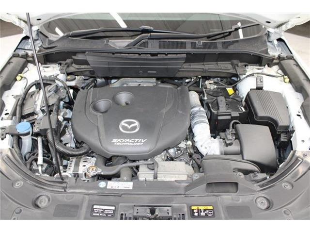 ���Ǝҗl�ւ̔̔��͂��f�肳���Ă��������܂��B �Ԍ������ԗ��̏ꍇ�́A�Ԍ����擾�������x�������z�ŕ\�����Ă���܂��B