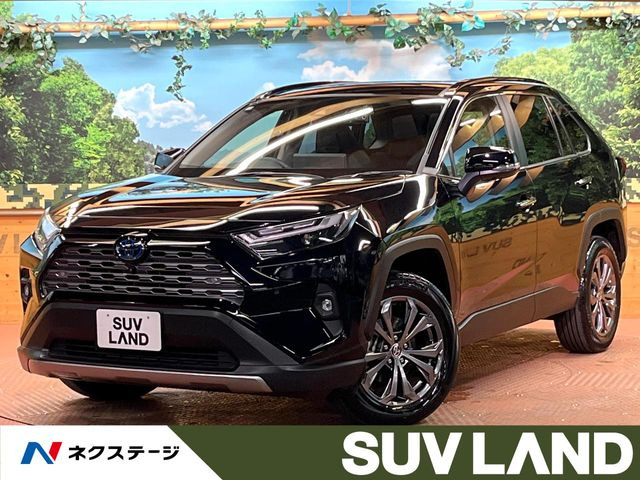 RAV4(トヨタ) ハイブリッドG 中古車画像