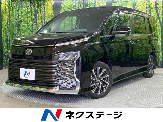 ヴォクシー(トヨタ) 2.0 S-Z 中古車画像