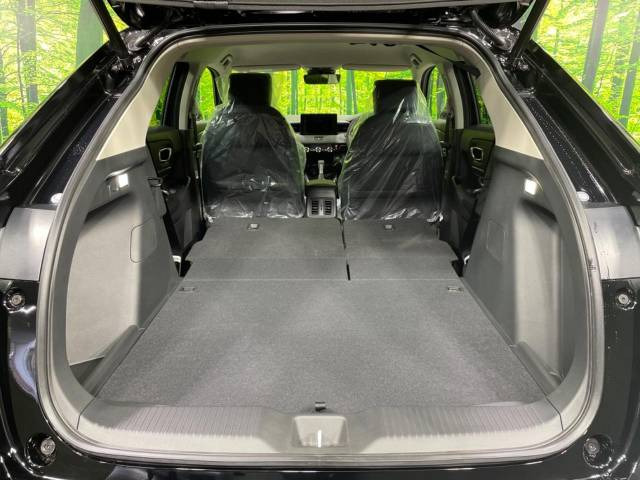 ���i�̂���������ʋ΁A���}���ɏ\���ȉ׎��X�y�[�X���m�ۂ��Ă���܂��B�Z�J���h�V�[�g��|���ƁA�傫�ȉו��̐ύڂ��\�ł���