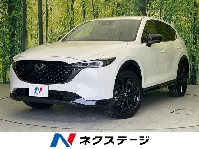 CX-5(マツダ) 2.0 20S レトロスポーツエディション 中古車画像