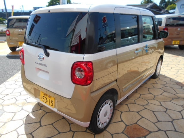 ムーヴキャンバスストライプス X