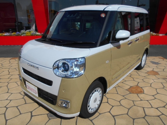 ムーヴキャンバスストライプス X