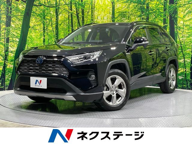 RAV4(トヨタ) ハイブリッドG 中古車画像