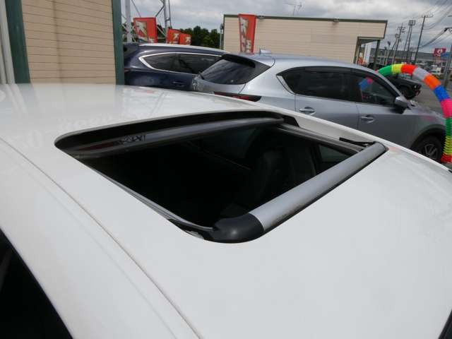 �T�����[�t����!�����������Ȃ���킭�킭�h���C�u���o�����Ⴂ�܂���