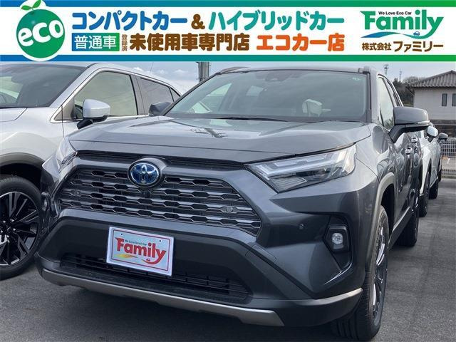 RAV4(トヨタ) 2.5 ハイブリッド G E-Four 4WD　ディスプレイオーディオ 登録済未使用車 中古車画像