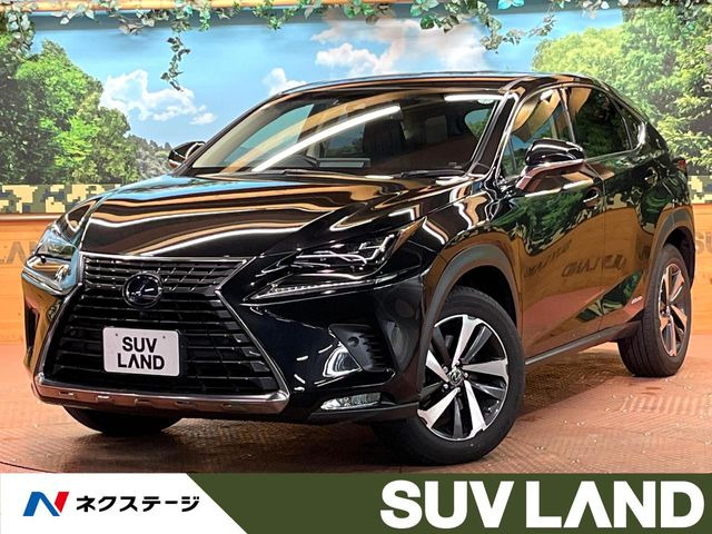 NX(レクサス) 300h Iパッケージ 中古車画像