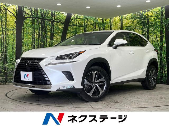 NX(レクサス) 200t Iパッケージ 中古車画像