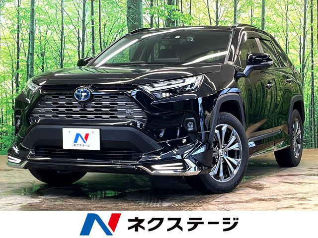RAV4(トヨタ) ハイブリッドG 中古車画像