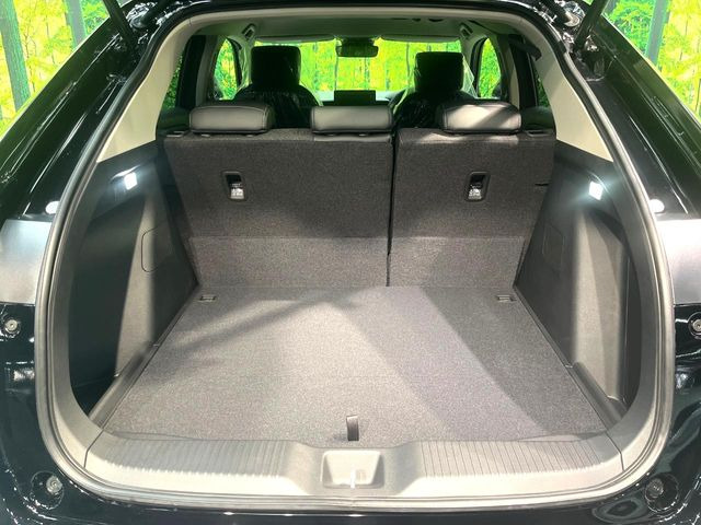 ���N���[���ȏ�Ԃ��L�[�v���������q�l�ɂ́w�i�m�]�[���R�[�g�x����������!�R���i�E�C���X�΍��A���ہE���L�Ɍ��ʂ𔭊��������̕��ɂ��D�]���������Ă���܂��B