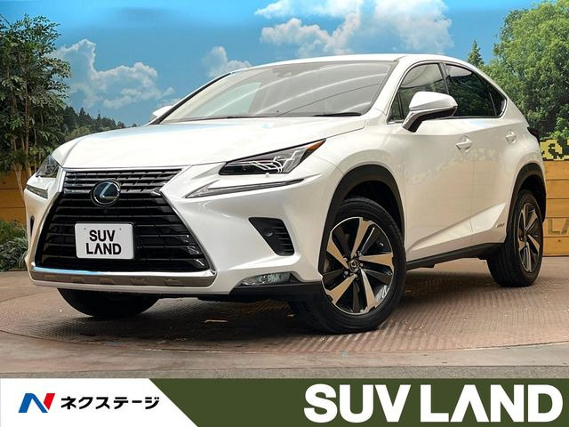 NX(レクサス) 300h バージョンL 中古車画像