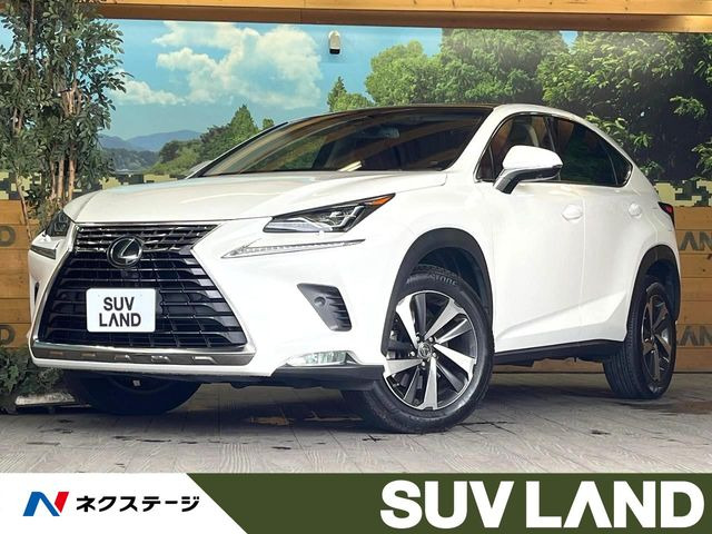 NX(レクサス) 200t Iパッケージ 中古車画像