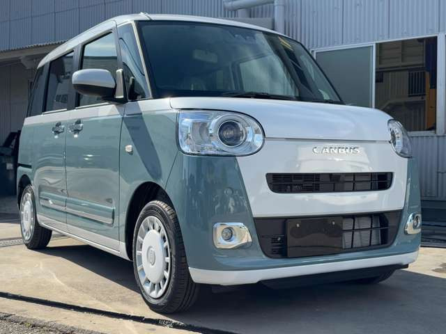 ムーヴキャンバスストライプス G