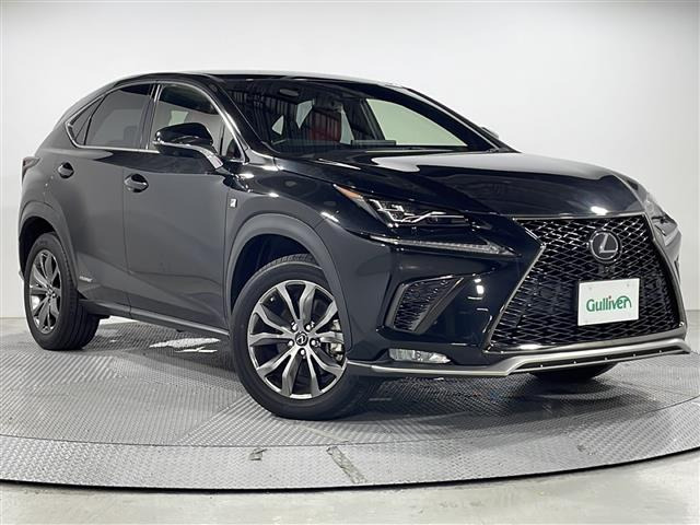NX300h Fスポーツ