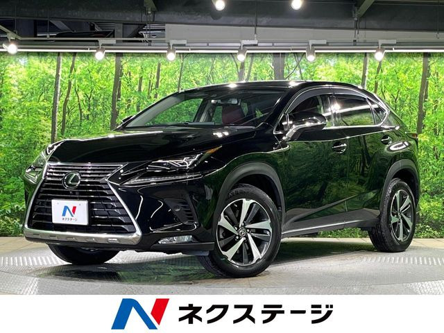 NX(レクサス) 200t Iパッケージ 中古車画像