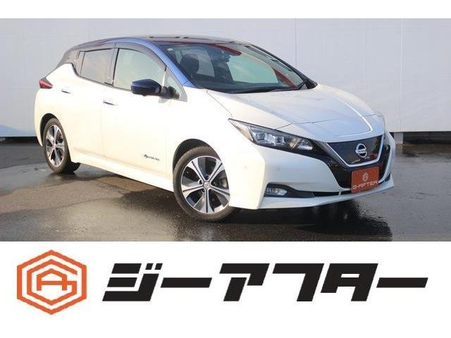リーフ(日産) G　OP2トーン純正ナビ360&amp;deg;カメラTVプロパイ 中古車画像