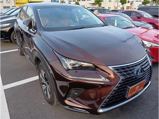 NX(レクサス) 300h バージョンL　サンルーフナビTV電動RゲートOP18インチAW 中古車画像