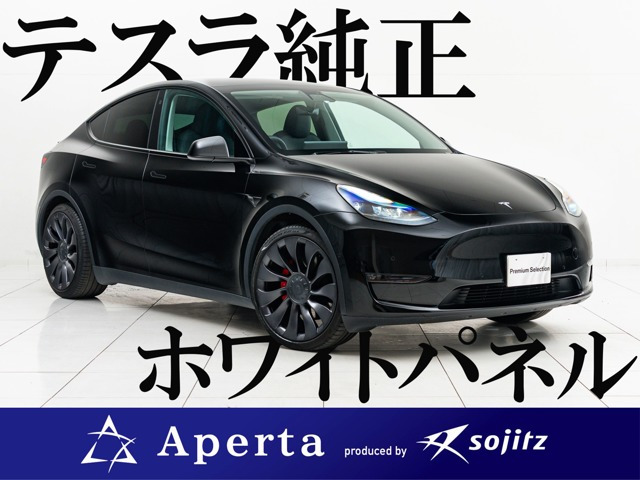 最終値下【新品・未使用】テスラ　デキャンタ 中国製テスラモデル2の衝撃。価格270万円、航続640
