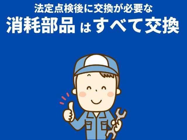 キャストアクティバ G リミテッド SAIII