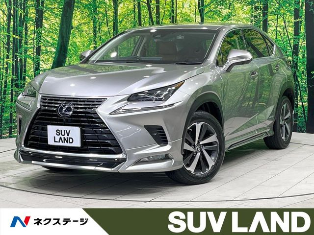 NX(レクサス) 300h 中古車画像