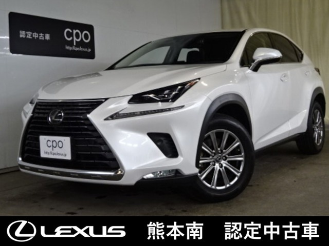 NX300 Iパッケージ