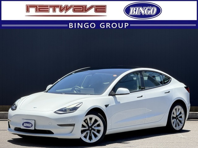 専用出品 テスラ 2台セット テスラ モデル3 2019年モデル デュアルモーターAWD ロングレンジ