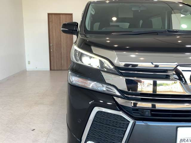 ��ԑ��s��R�����s�ł����E�ǍD��LED�w�b�h���C�g�t��!