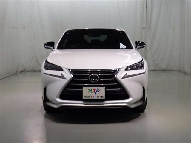 NX200t Fスポーツ