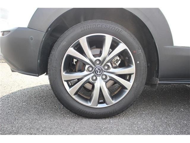 ���Ǝҗl�ւ̔̔��͂��f�肳���Ă��������܂��B �Ԍ������ԗ��̏ꍇ�́A�Ԍ����擾�������x�������z�ŕ\�����Ă���܂��B