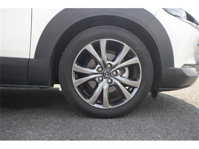 ���Ǝҗl�ւ̔̔��͂��f�肳���Ă��������܂��B �Ԍ������ԗ��̏ꍇ�́A�Ԍ����擾�������x�������z�ŕ\�����Ă���܂��B