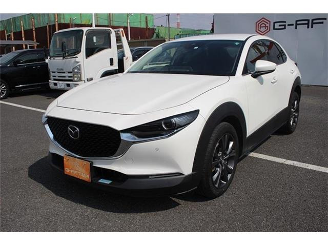 ���Ǝҗl�ւ̔̔��͂��f�肳���Ă��������܂��B �Ԍ������ԗ��̏ꍇ�́A�Ԍ����擾�������x�������z�ŕ\�����Ă���܂��B