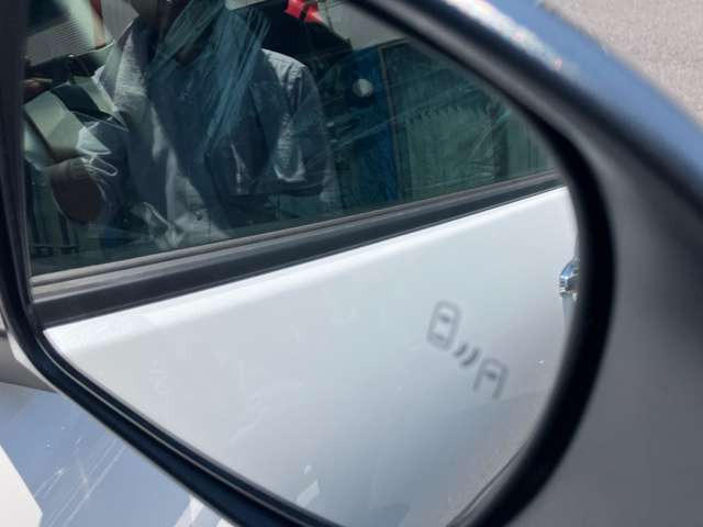 �u���C���h�X�|�b�g���j�^�[(BSM)