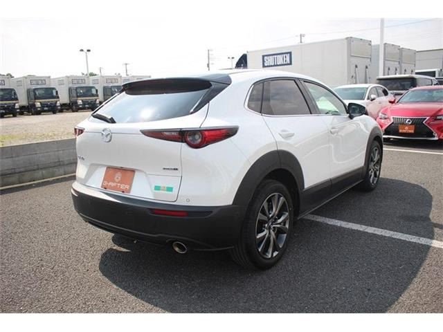 ���Ǝҗl�ւ̔̔��͂��f�肳���Ă��������܂��B �Ԍ������ԗ��̏ꍇ�́A�Ԍ����擾�������x�������z�ŕ\�����Ă���܂��B