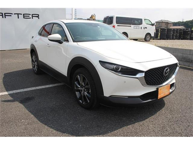 ���Ǝҗl�ւ̔̔��͂��f�肳���Ă��������܂��B �Ԍ������ԗ��̏ꍇ�́A�Ԍ����擾�������x�������z�ŕ\�����Ă���܂��B