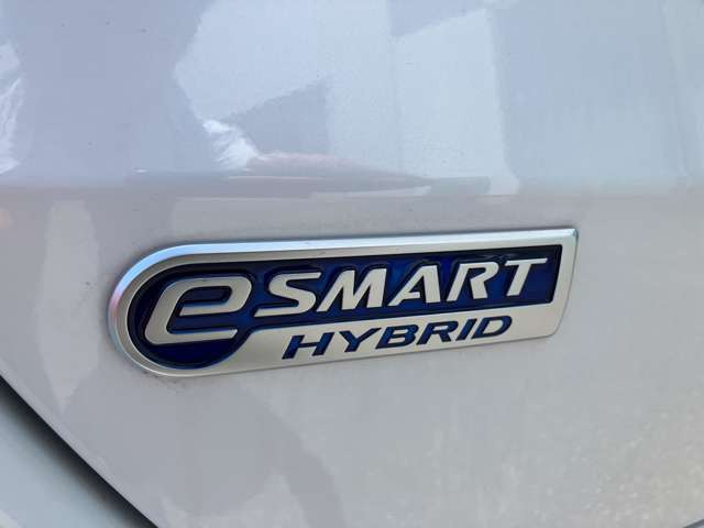 �n�C�u���b�h�ł�