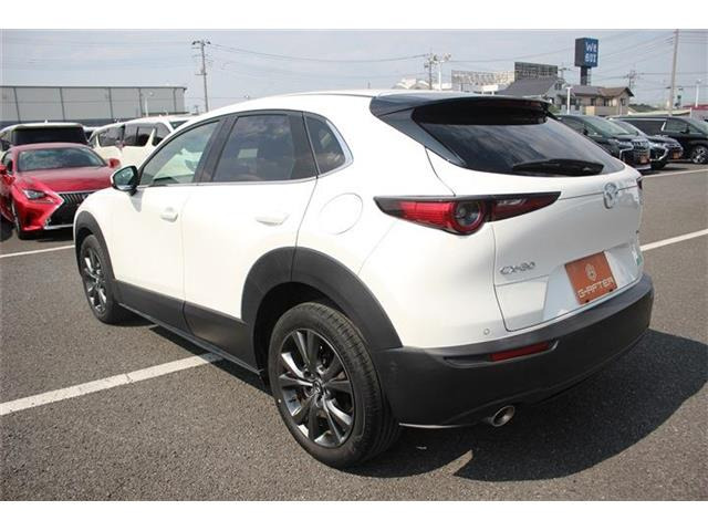 ���Ǝҗl�ւ̔̔��͂��f�肳���Ă��������܂��B �Ԍ������ԗ��̏ꍇ�́A�Ԍ����擾�������x�������z�ŕ\�����Ă���܂��B