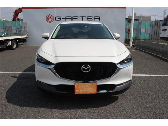 ���Ǝҗl�ւ̔̔��͂��f�肳���Ă��������܂��B �Ԍ������ԗ��̏ꍇ�́A�Ԍ����擾�������x�������z�ŕ\�����Ă���܂��B