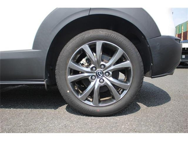 ���Ǝҗl�ւ̔̔��͂��f�肳���Ă��������܂��B �Ԍ������ԗ��̏ꍇ�́A�Ԍ����擾�������x�������z�ŕ\�����Ă���܂��B