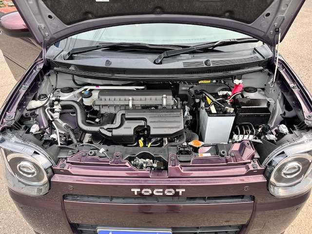 ���|�ς݂Ŕ��ɂ��ꂢ�ł���!!