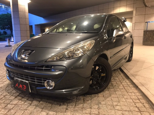 207(vW[) GTi Îԉ摜