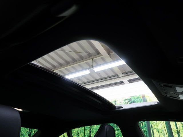 �y���[�����[�t�z�J���������Ղ�̊󏭑����A���[�����[�t����������Ă��܂�!�ԓ��ɖ�����������ꂽ��i�F���y���ވȊO�ɂ��A�ԓ��̋�C���ȒP�Ɋ��C�ł��ĉ��K�ł�!