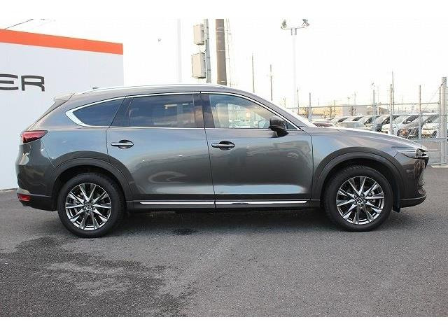 ���Ǝҗl�ւ̔̔��͂��f�肳���Ă��������܂��B �Ԍ������ԗ��̏ꍇ�́A�Ԍ����擾�������x�������z�ŕ\�����Ă���܂��B